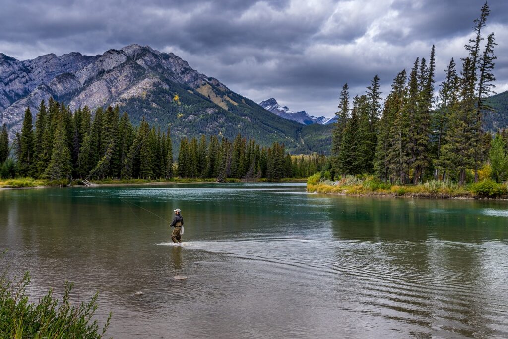 Science of Silence: KelloggShow delves into health and wellness.