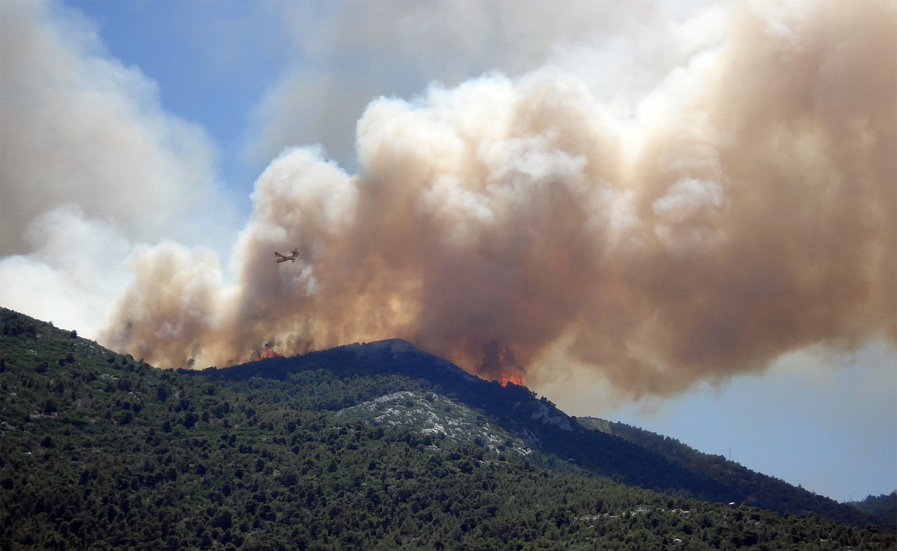 Wildfires are one of many natural disasters that family preparedness will help mitigate.